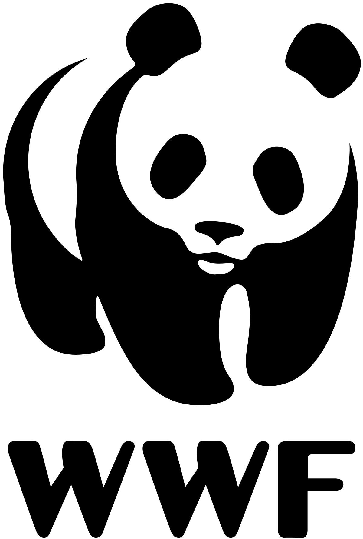 Human rights abuses: Report indicts WWF for funding wayward rangers in Congo Basin