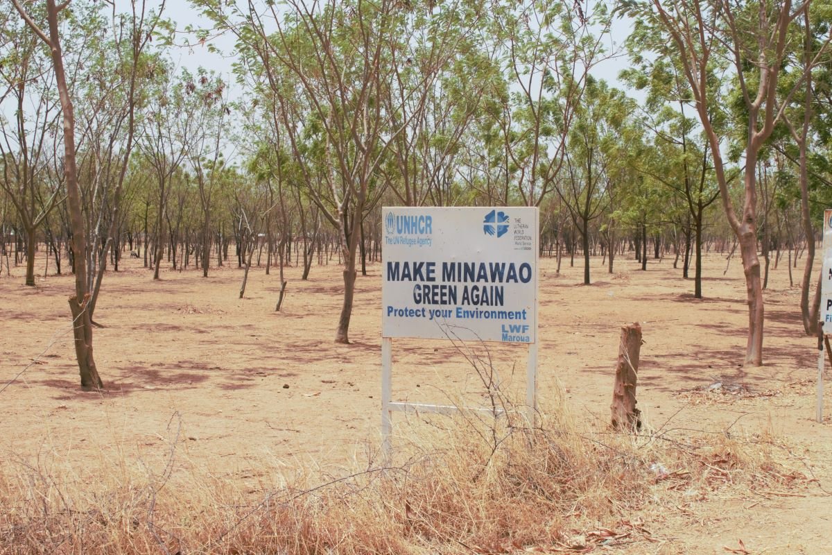 Here is what African CSOs want at COP28