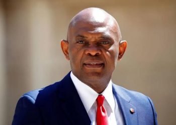Nigerian billionaire Tony Elumelu keen on diversifying investments in Cameroon