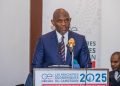 Tony Elumelu blames Cameroon’s economic woes on bureaucratic bottlenecks