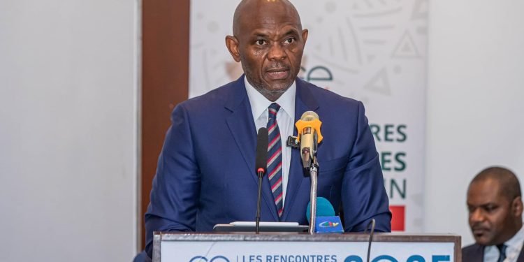 Tony Elumelu blames Cameroon’s economic woes on bureaucratic bottlenecks
