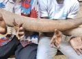 Wildlife crime: 90 suspected traffickers arrested across seven African countries