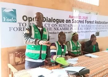 Sacred forests in focus: Binka hosts dialogue on Nkambe plateau’s ecological future
