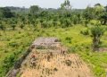 Central Africa still gets smallest slice of green financing, study finds