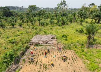 Central Africa still gets smallest slice of green financing, study finds