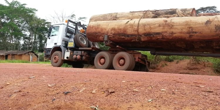 Timber logs export ban in CEMAC could up revenue by 25% – expert
